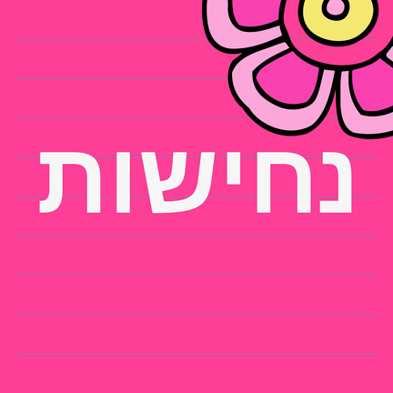 יום 2: נחישות