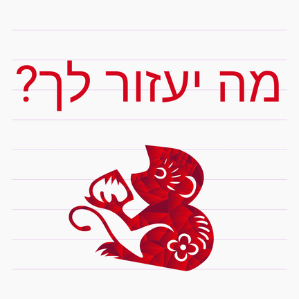 יום 11: מה יעזור לך