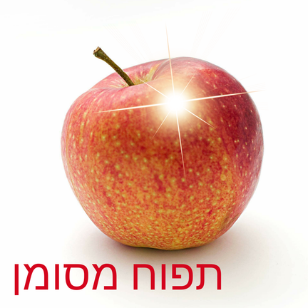 יום 26: תפוח מסומן · לשנות את המינוח