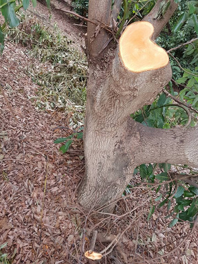 יום 29: התבוננות