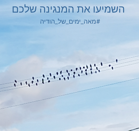יום 41: הקול שלי · חיבור לטבע