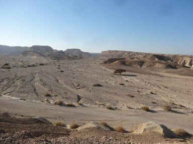 יום 48 ו-49: לנוח