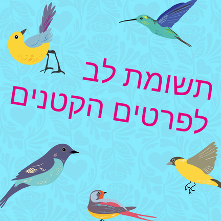 יום 51: התבוננות · קיימות