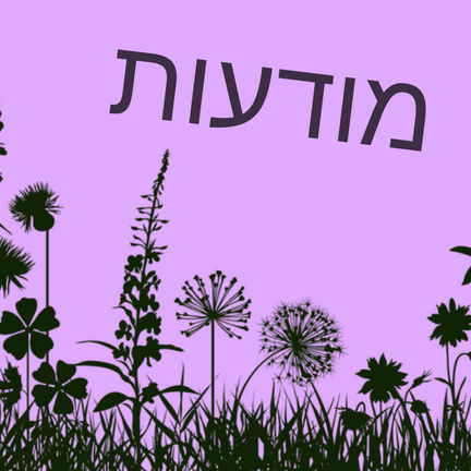 יום 78: התבוננות