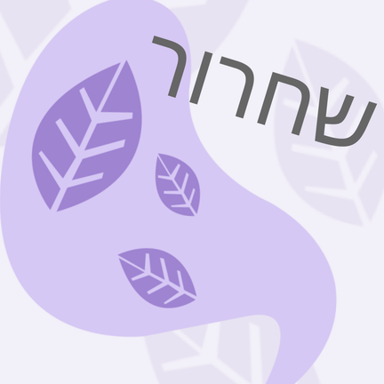 יום 87: שחרור