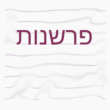 יום 95: פרשנות