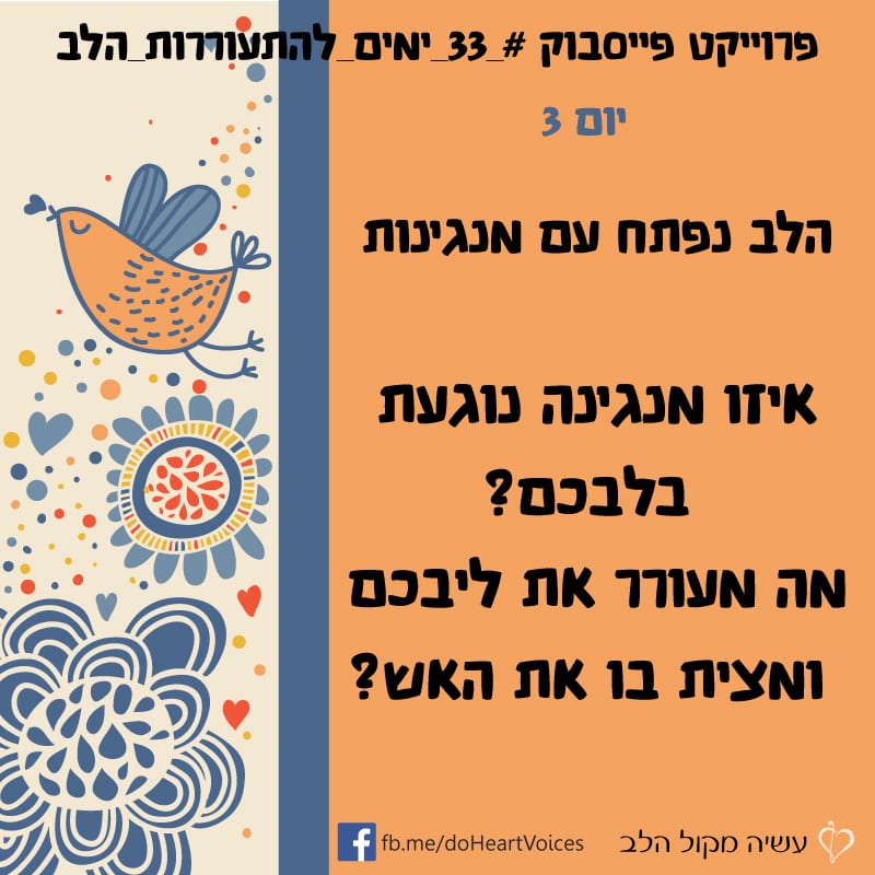 יום 3