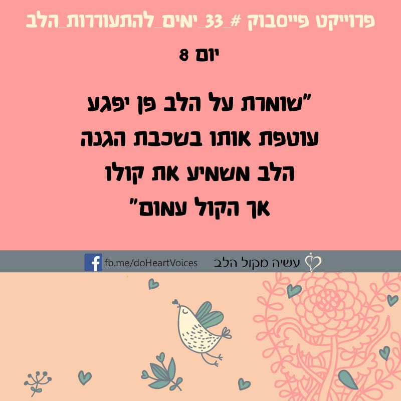 יום 8