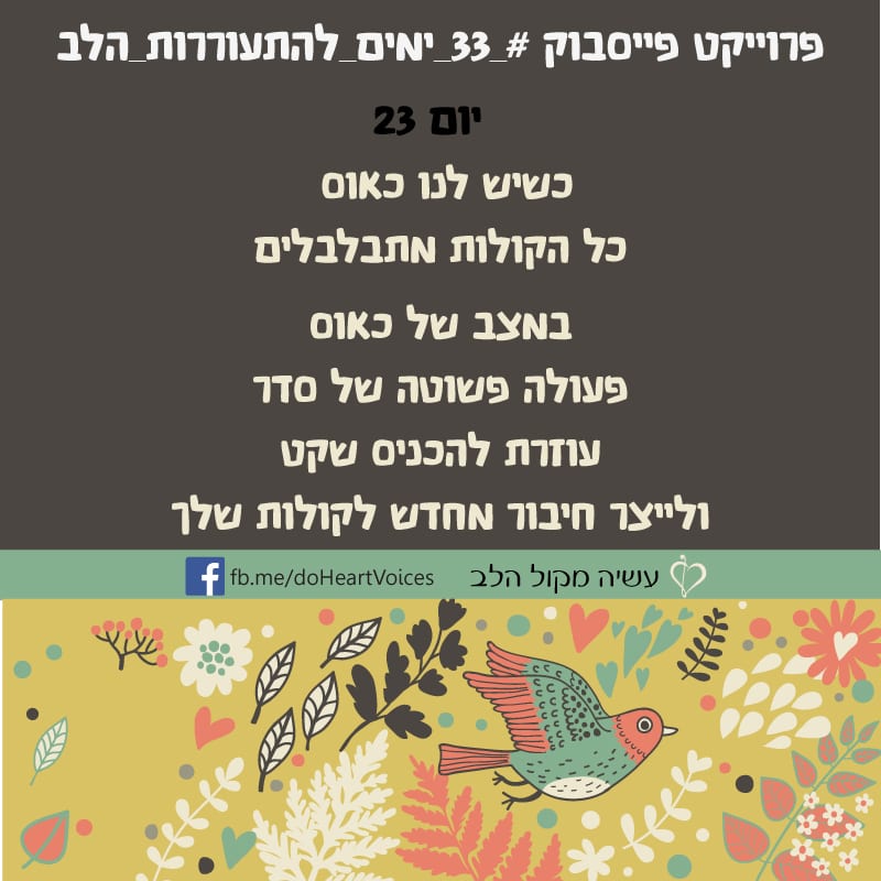 יום 23