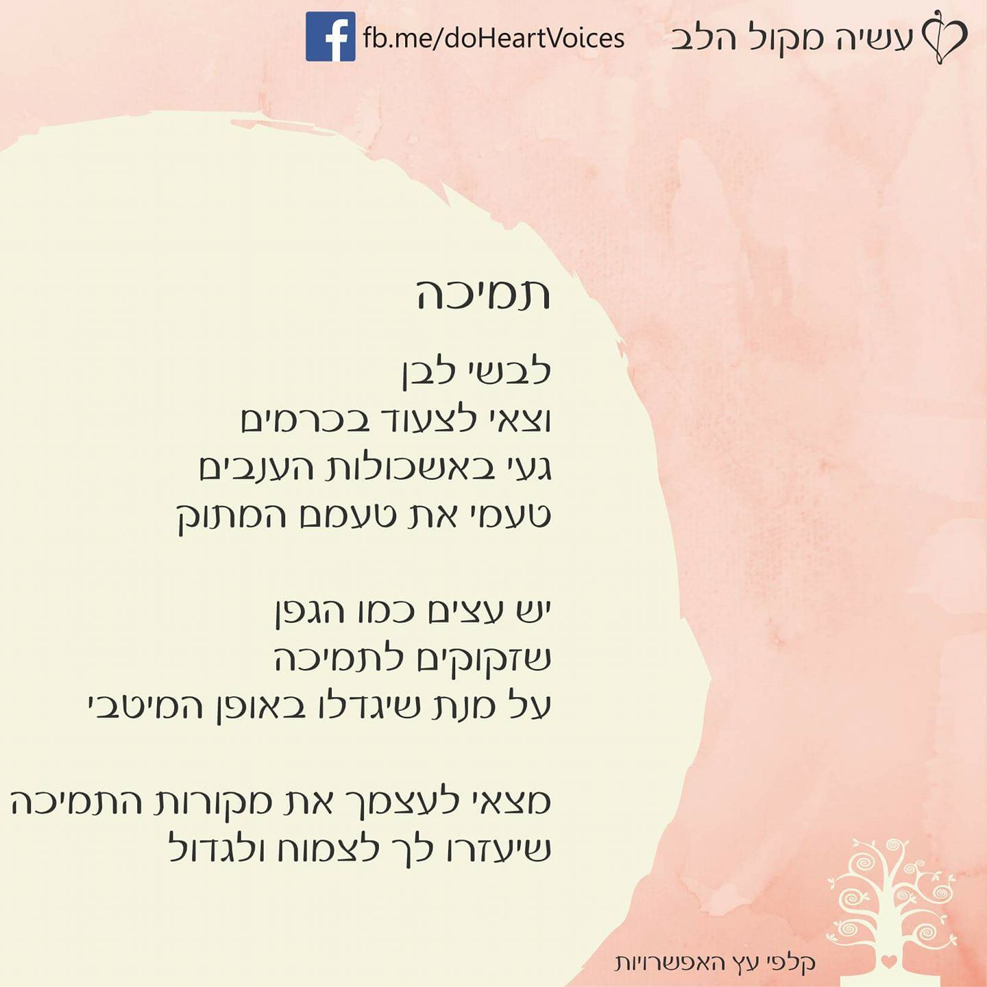 יום 28